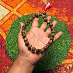 27+1 Brown Original Tulsi Sumrani Jap Mala