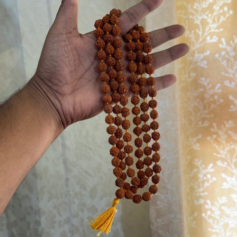 108 Authentic 5 Mukhi Rudraksh Mala
