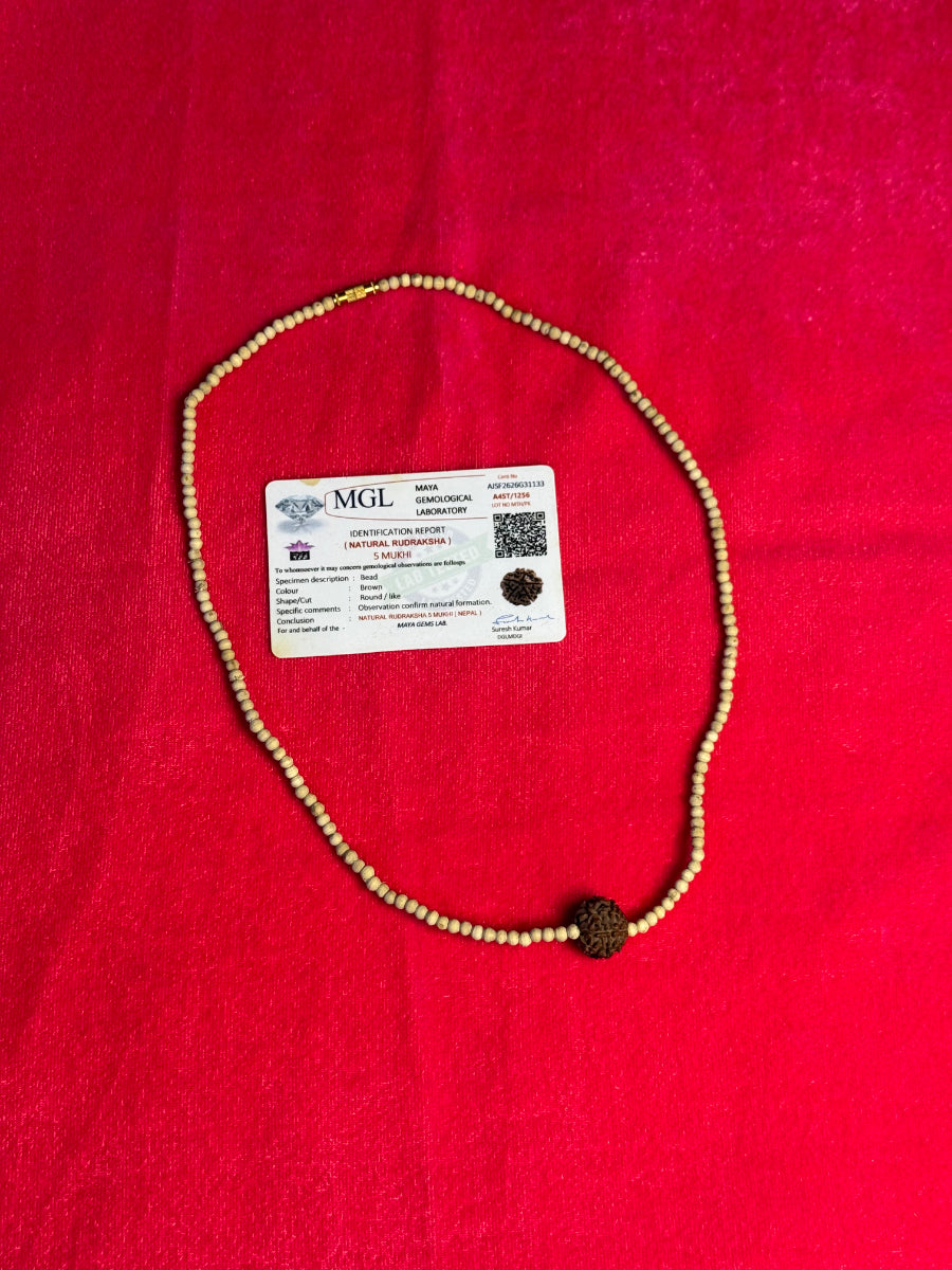 5 Mukhi Rudraksh Tulsi Mala-100% Original/Lab Certified