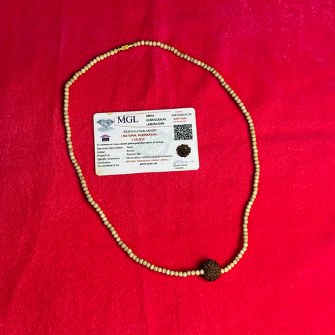 5 Mukhi Rudraksh Tulsi Mala-100% Original/Lab Certified