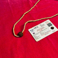 5 Mukhi Rudraksh Tulsi Mala-100% Original/Lab Certified