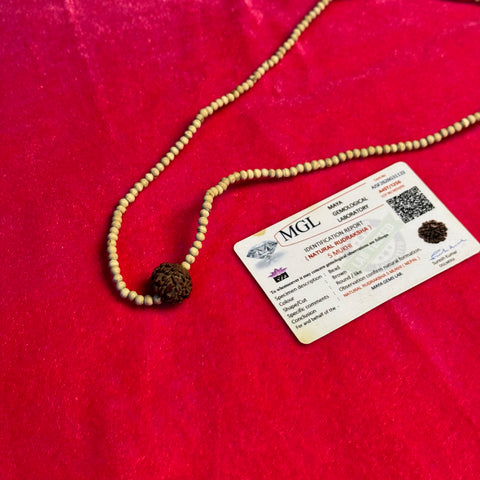 5 Mukhi Rudraksh Tulsi Mala-100% Original/Lab Certified