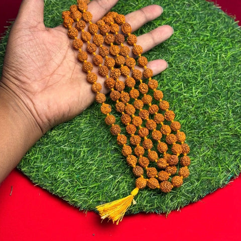 108 Authentic 5 Mukhi Rudraksh Mala